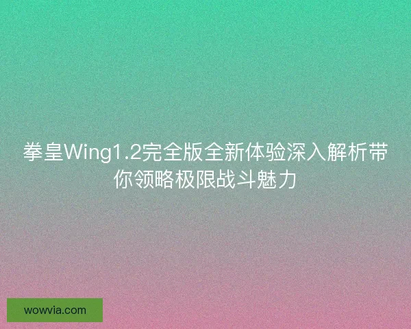 拳皇Wing1.2完全版全新体验深入解析带你领略极限战斗魅力